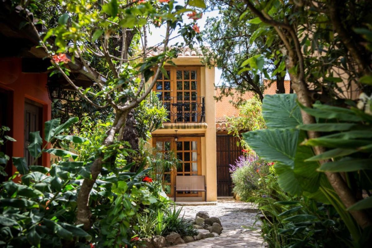 El jardín del hotel Guayaba Inn recuerda los ecosistemas selváticos de Chiapas