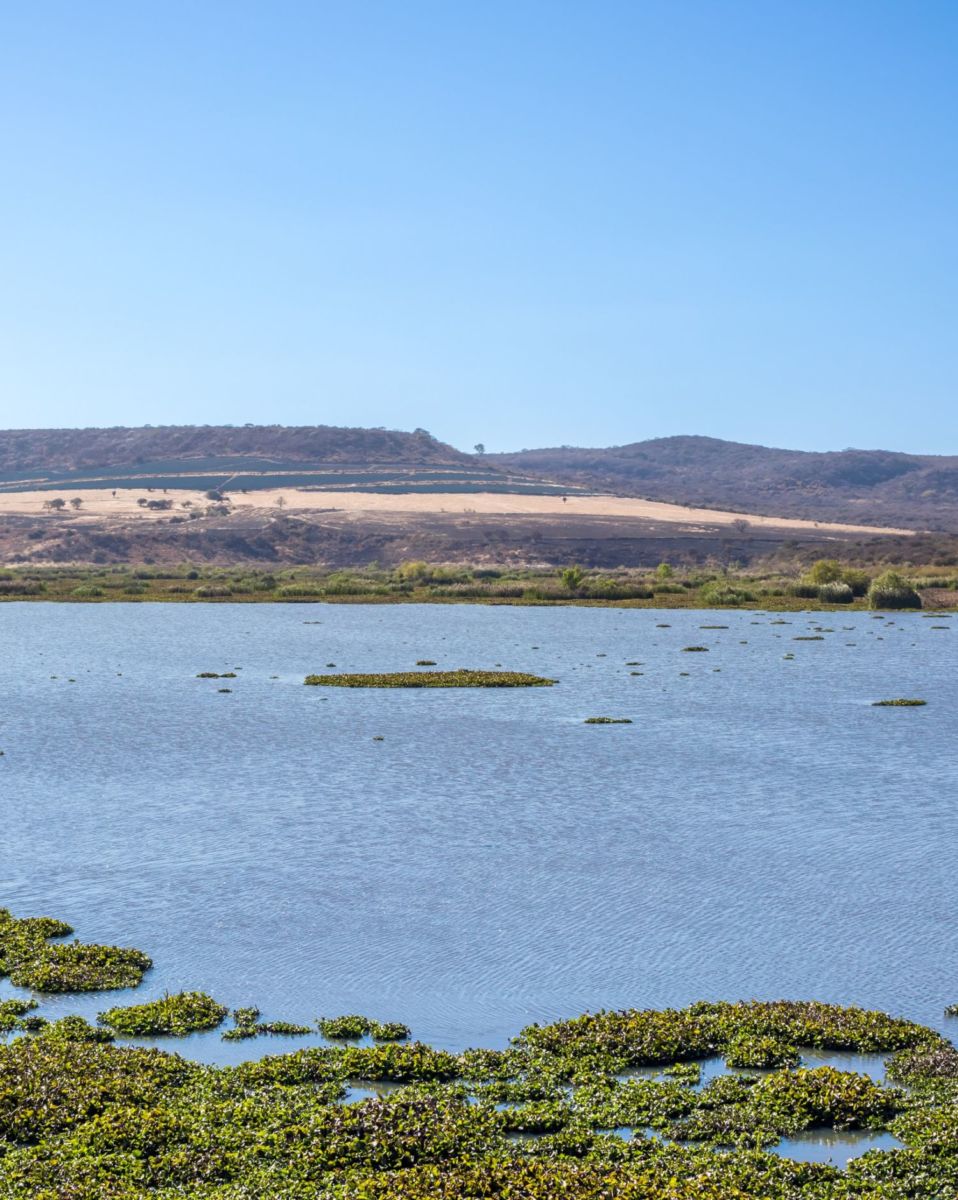 Presa en Jalpa de Cánovas