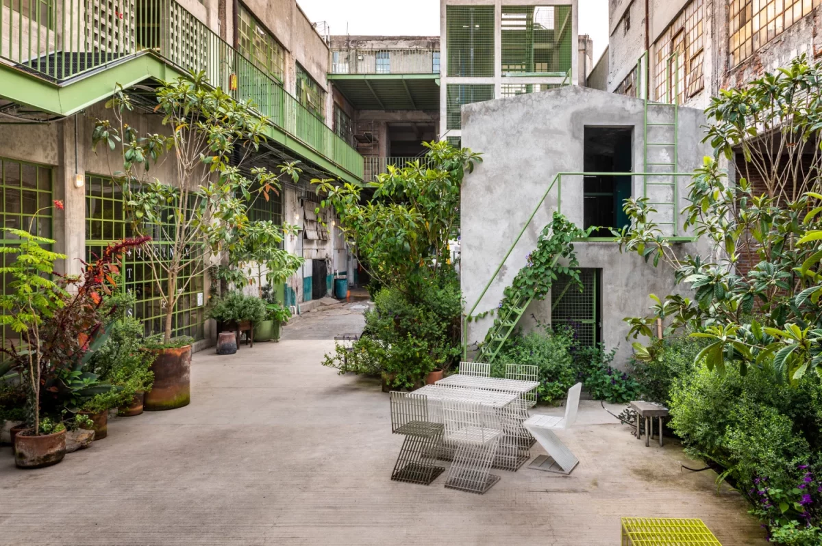 Laguna en la colonia Doctores