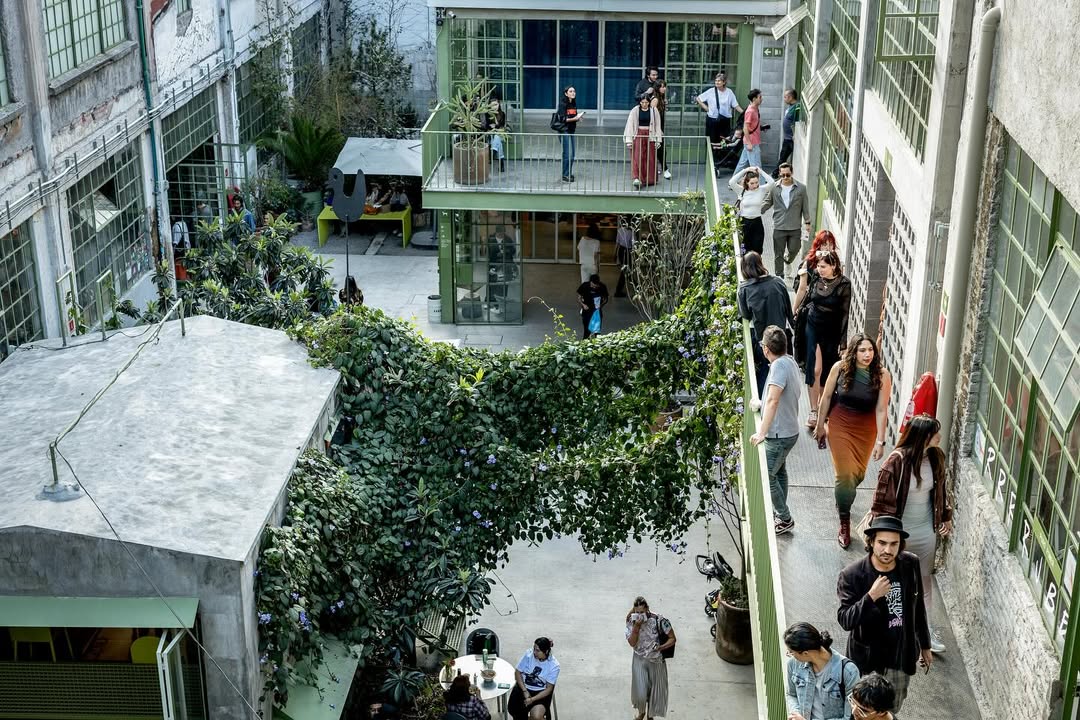 Laguna en la colonia Doctores