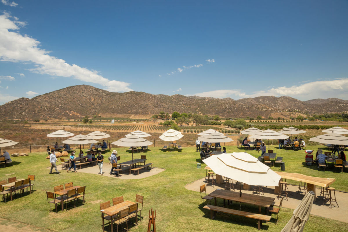Valle de Guadalupe 
