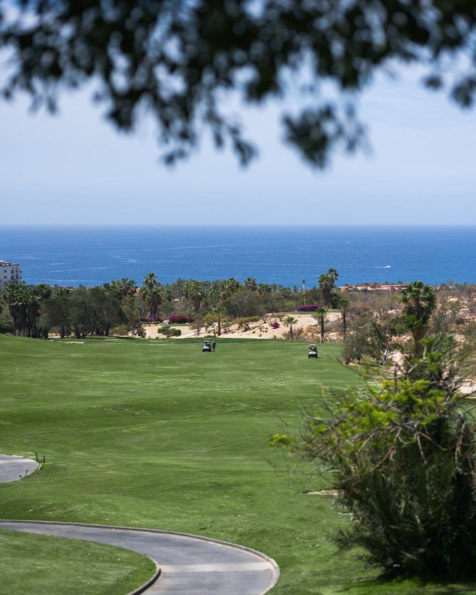 medgolf Los Cabos torneo