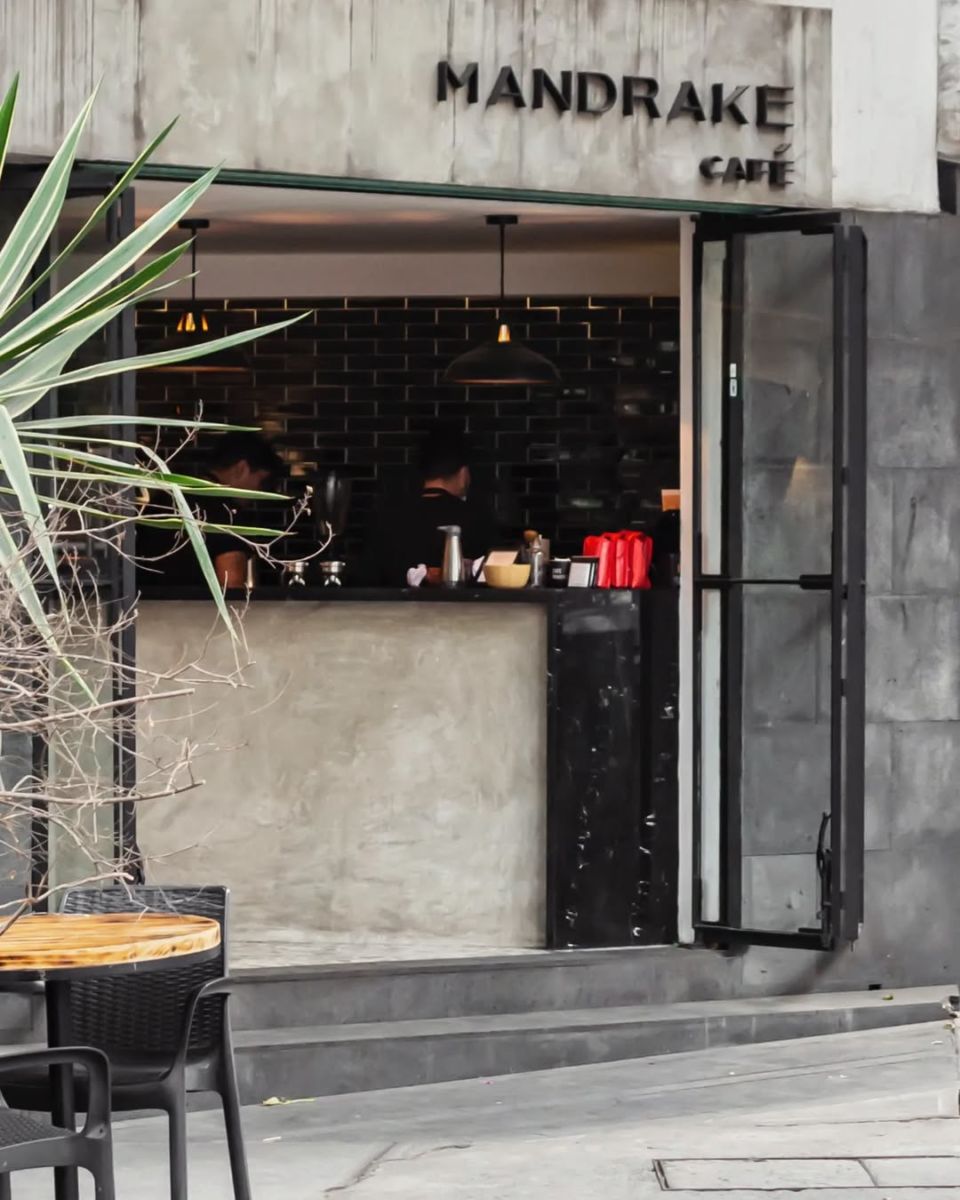 café mandrake parque hundido