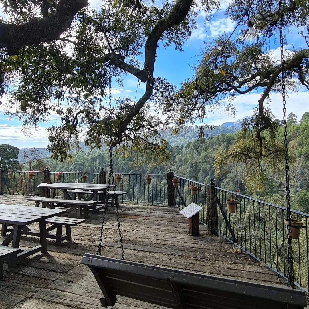 alpinia Mexico-puebla