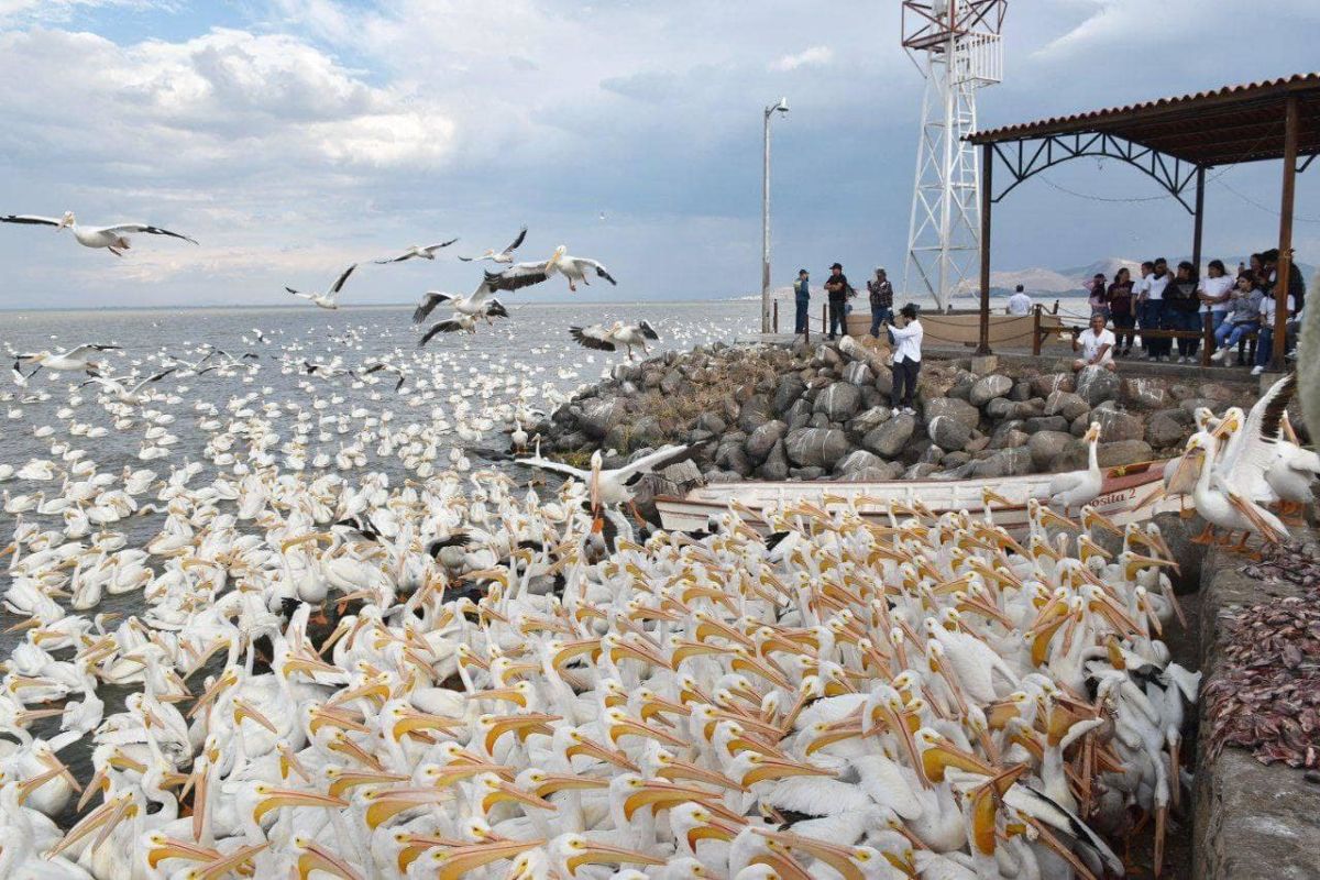 Malecón de Petatán 