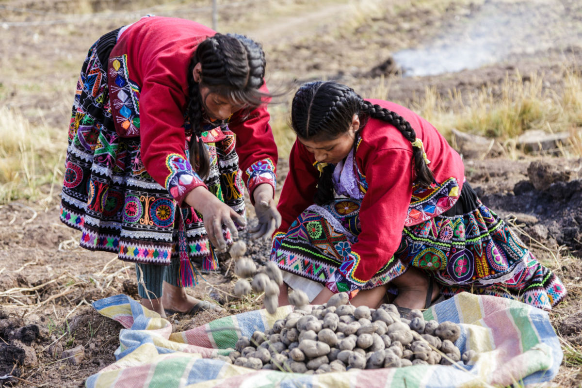 Platillos típicos de Cusco 