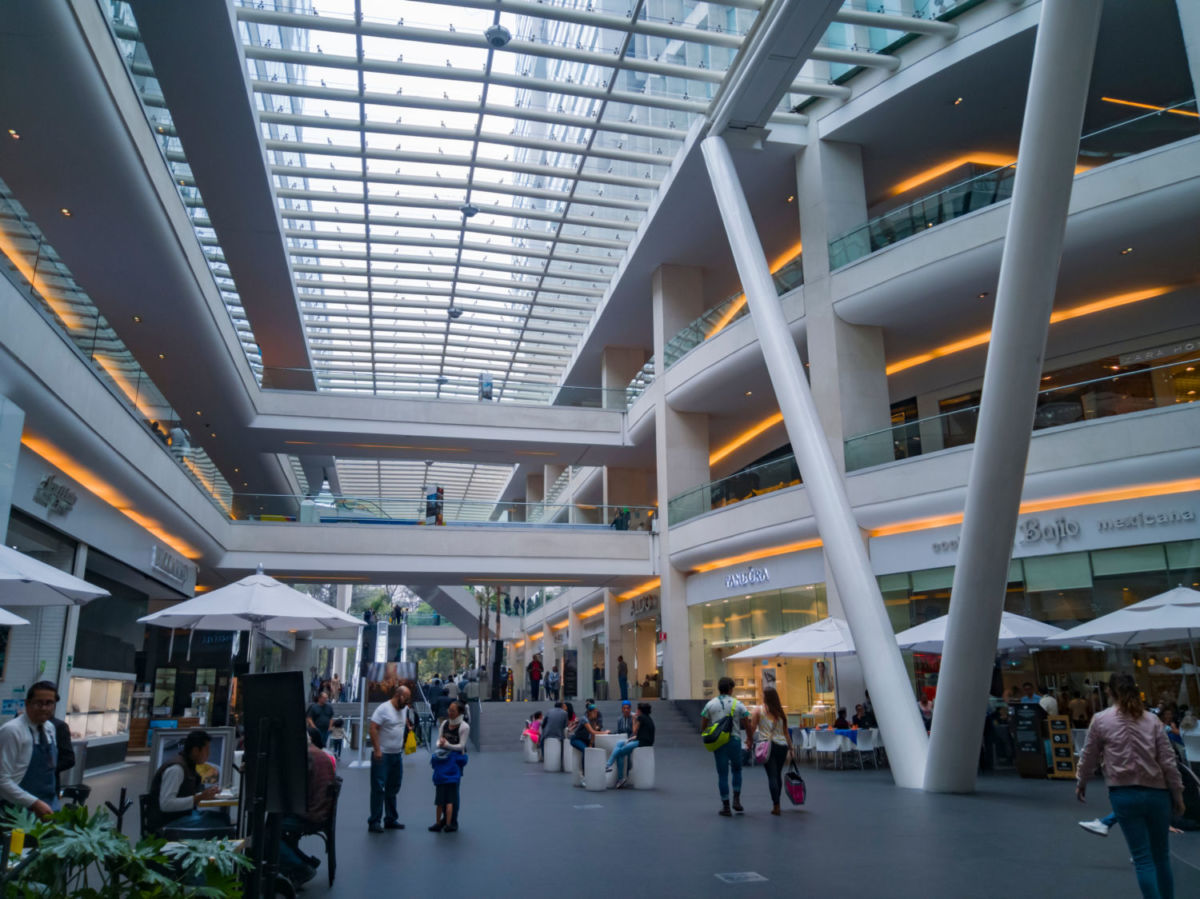 4 plazas pet friendly en la CDMX para cuando necesitas pasear a tu perro y la lluvia no te deja