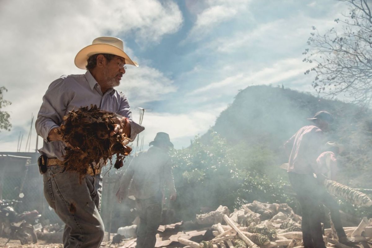 Este Día del Padre, regala una experiencia mezcalera