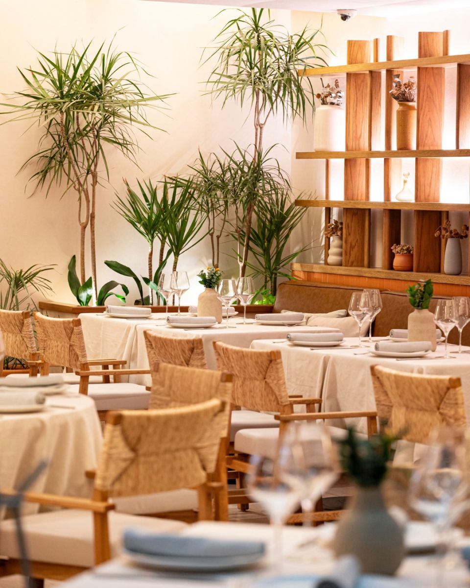 cortile restaurante pedregal
