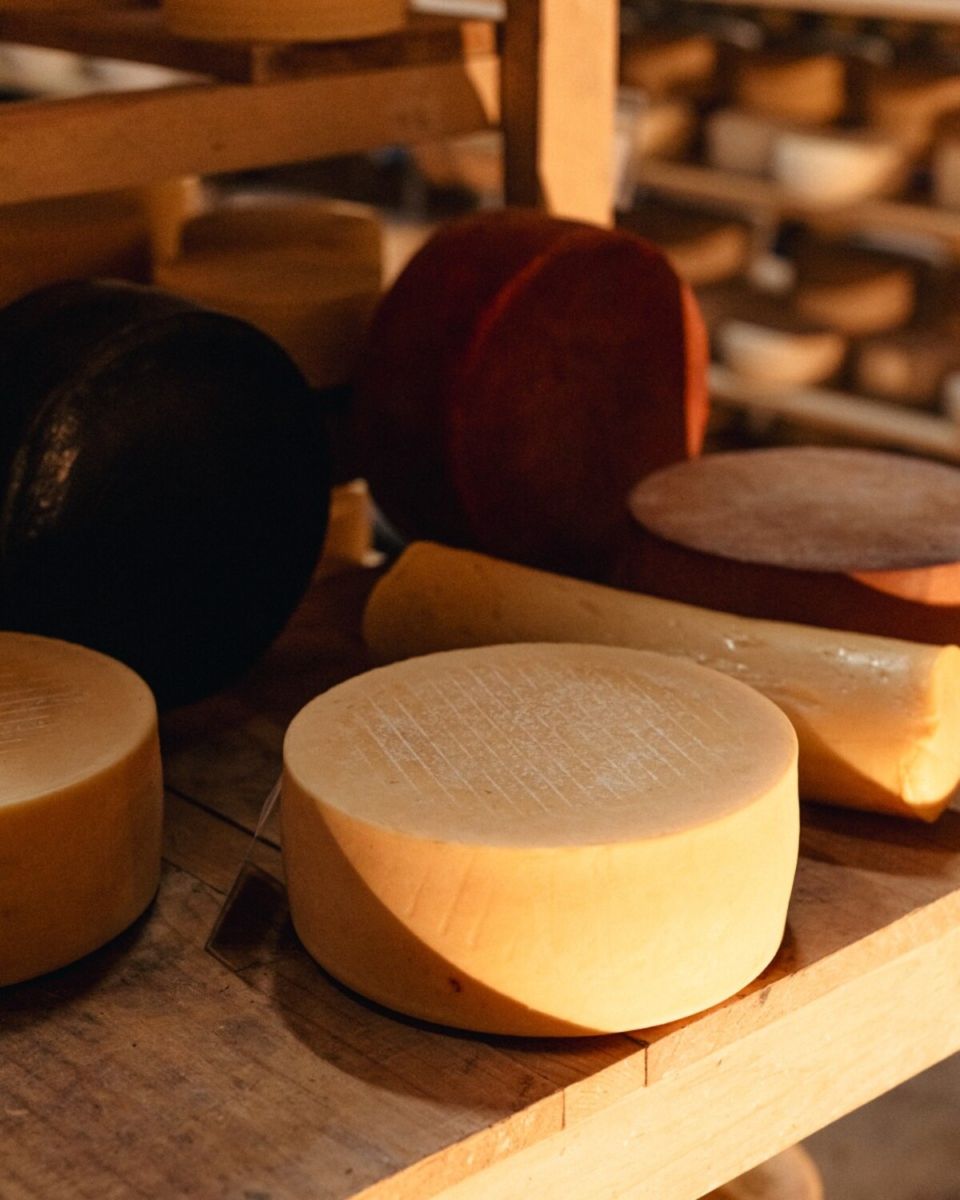 Ruta del queso Querétaro. 