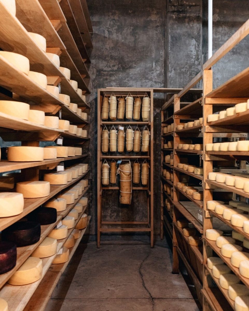 Cava Bocanegra en Tequisquiapan.