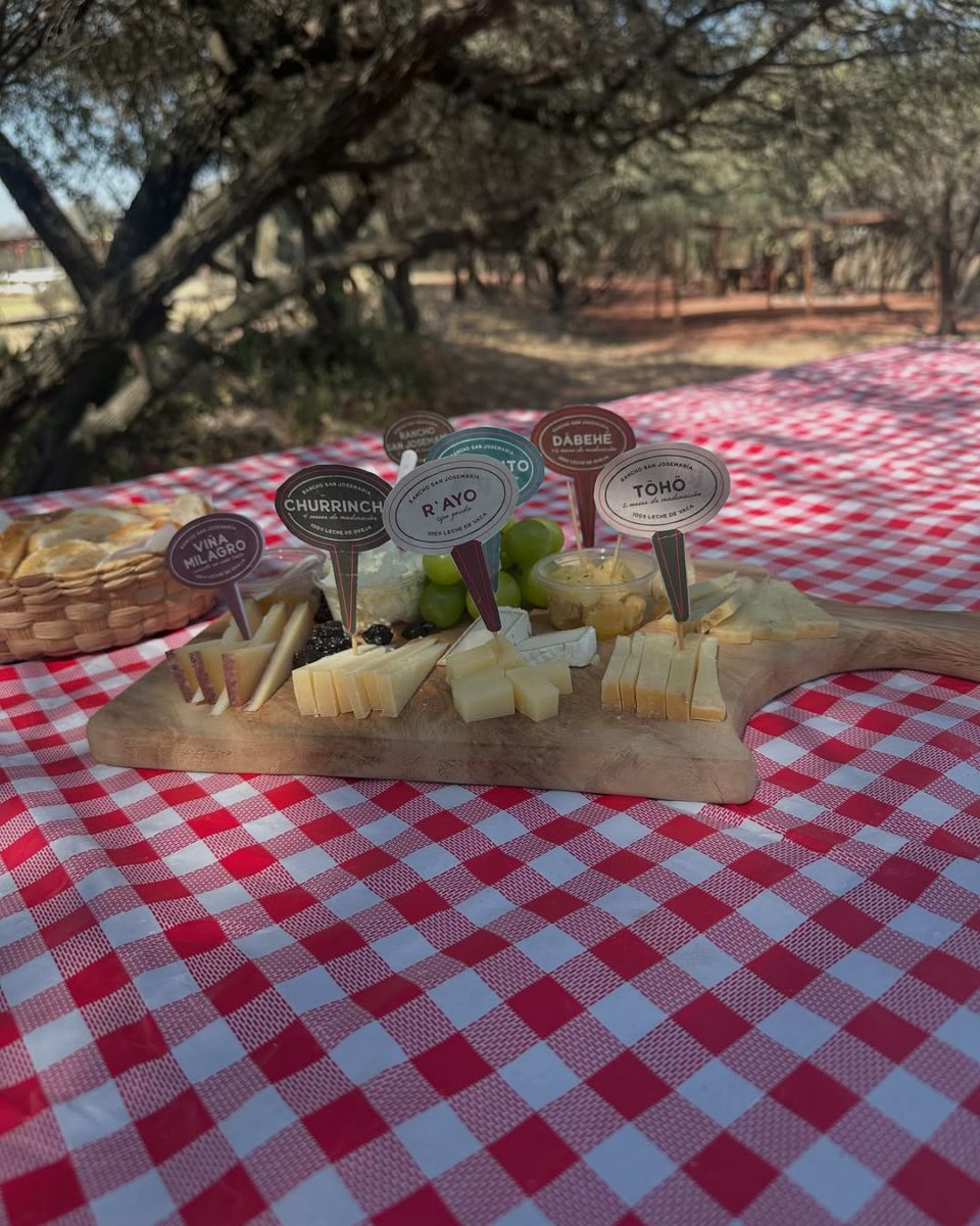 Degustación de quesos artesanales mexicanos en Querétaro. 