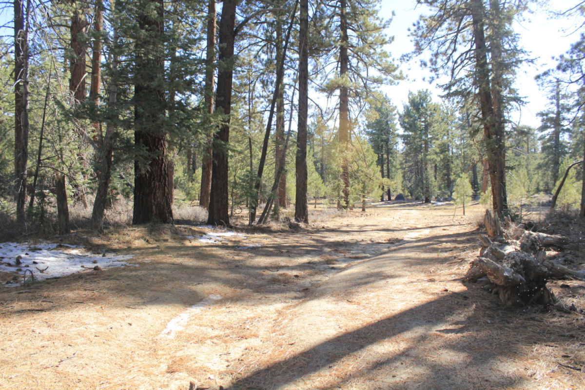 Su cerro más alto, Picacho del Diablo se eleva a 3096 ms.n.m