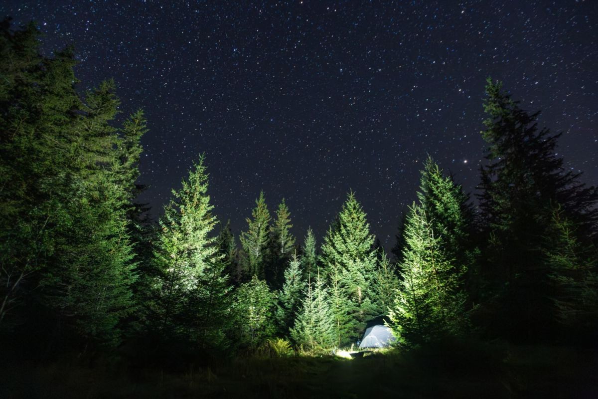 Es de los pocos lugares donde puedes ver el cielo estrellado mientras te quedas a acampar 
