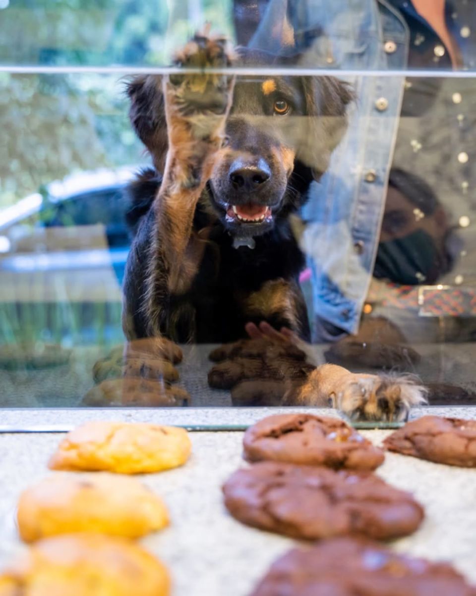 Galletas  deliciosas en la CDMX. 