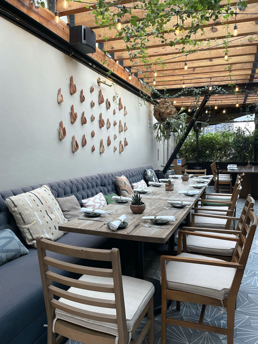 Terraza Palmares en la Col. Roma 