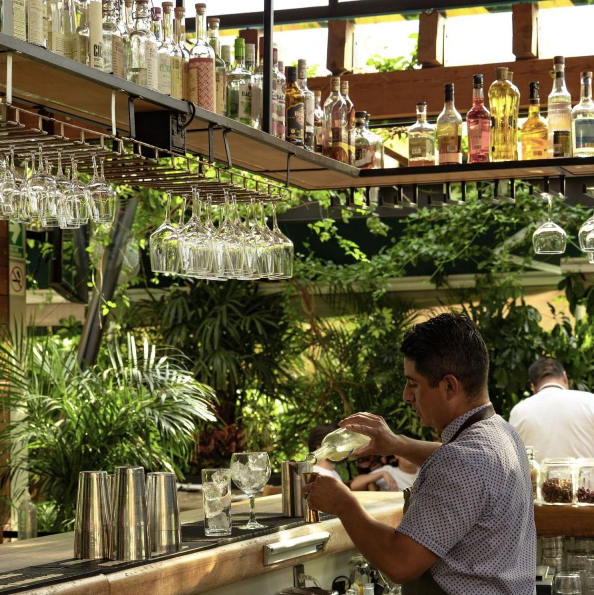 Cócteles en Terraza Palmares