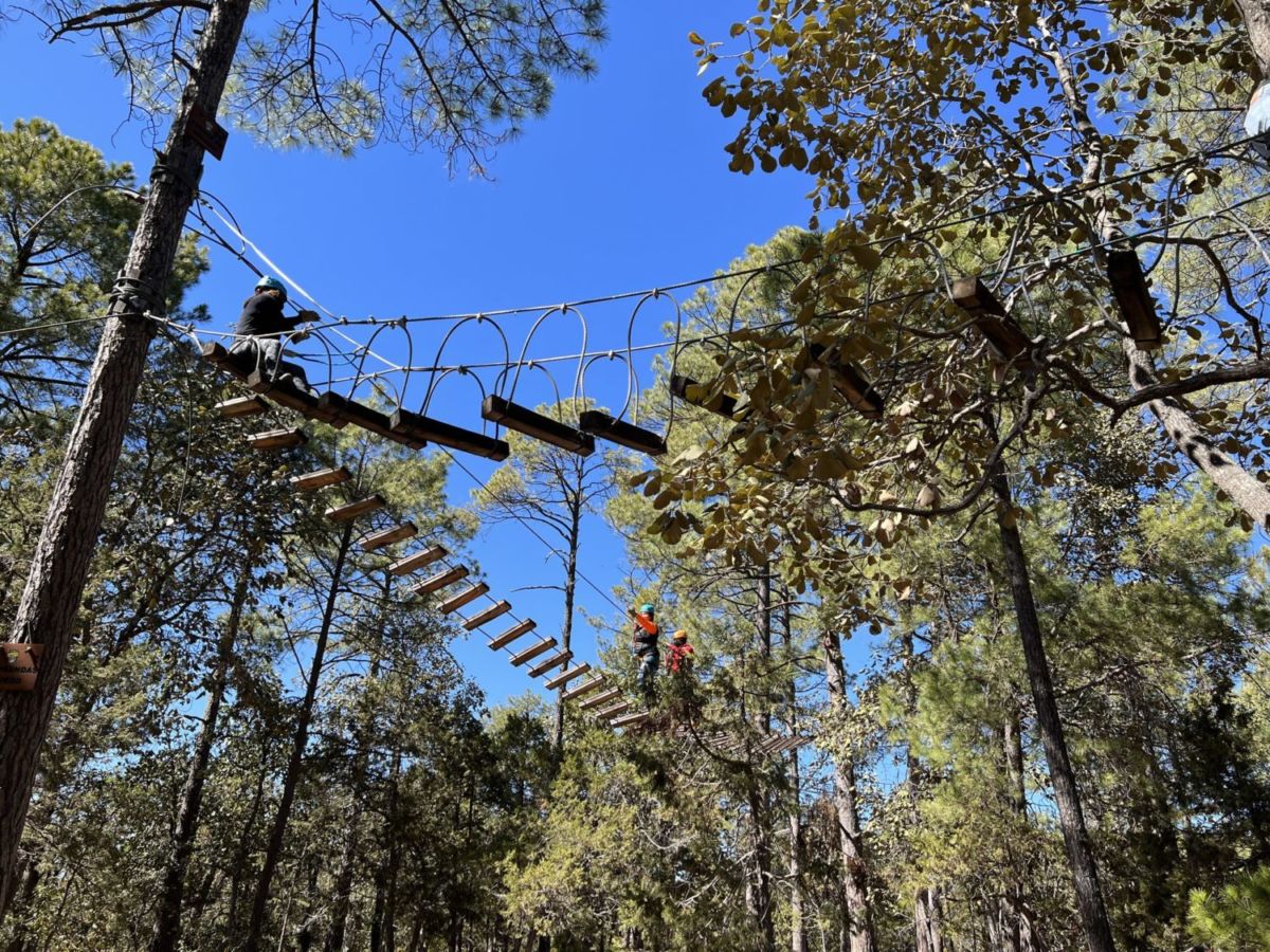 Recorrido Bosque Aéreo