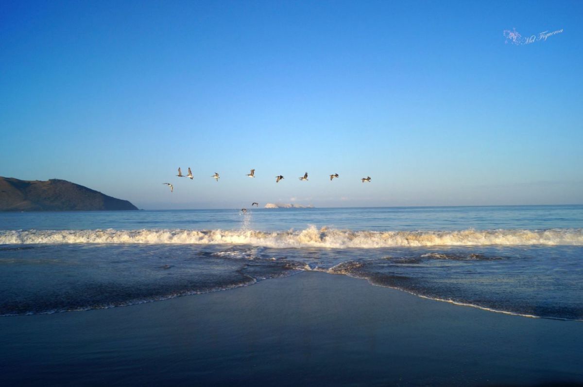 Playas vírgenes en Guerrero