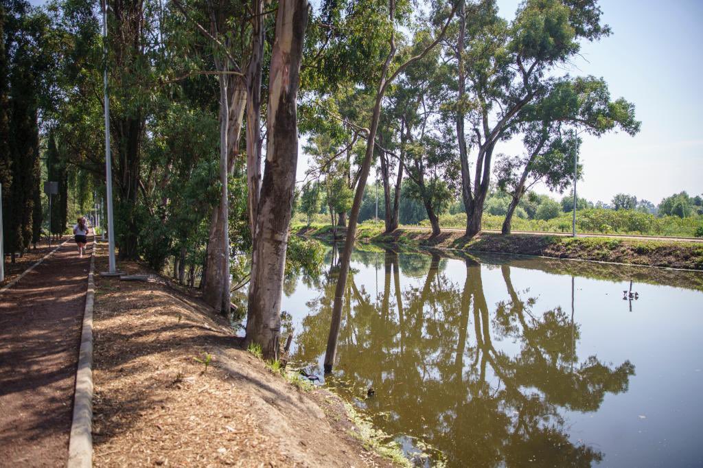 lugares al aire libre en la cdmx
