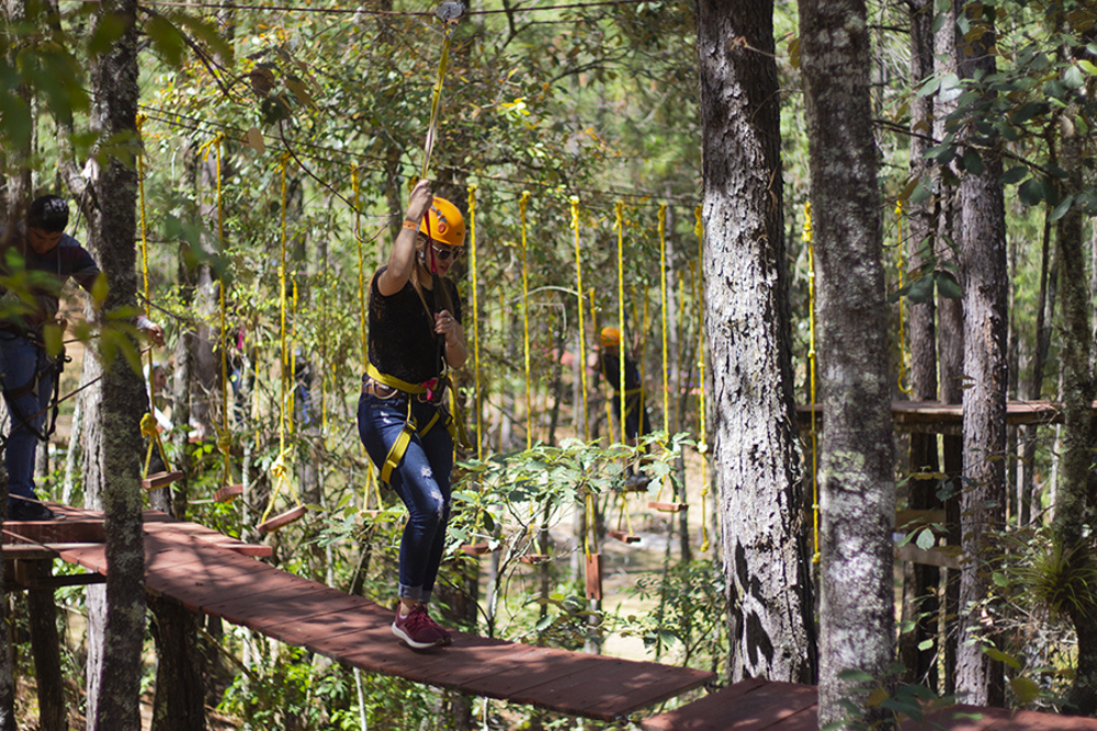 Bosque mesófilo Ixtlán de Juárez