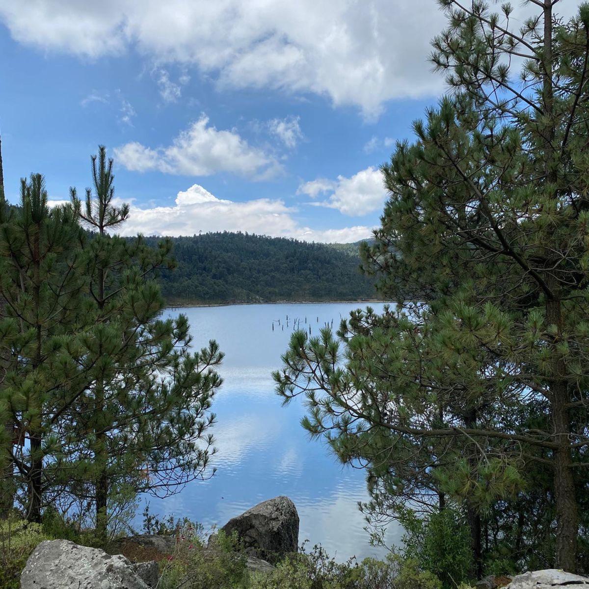 Presa del Bosque Otomí