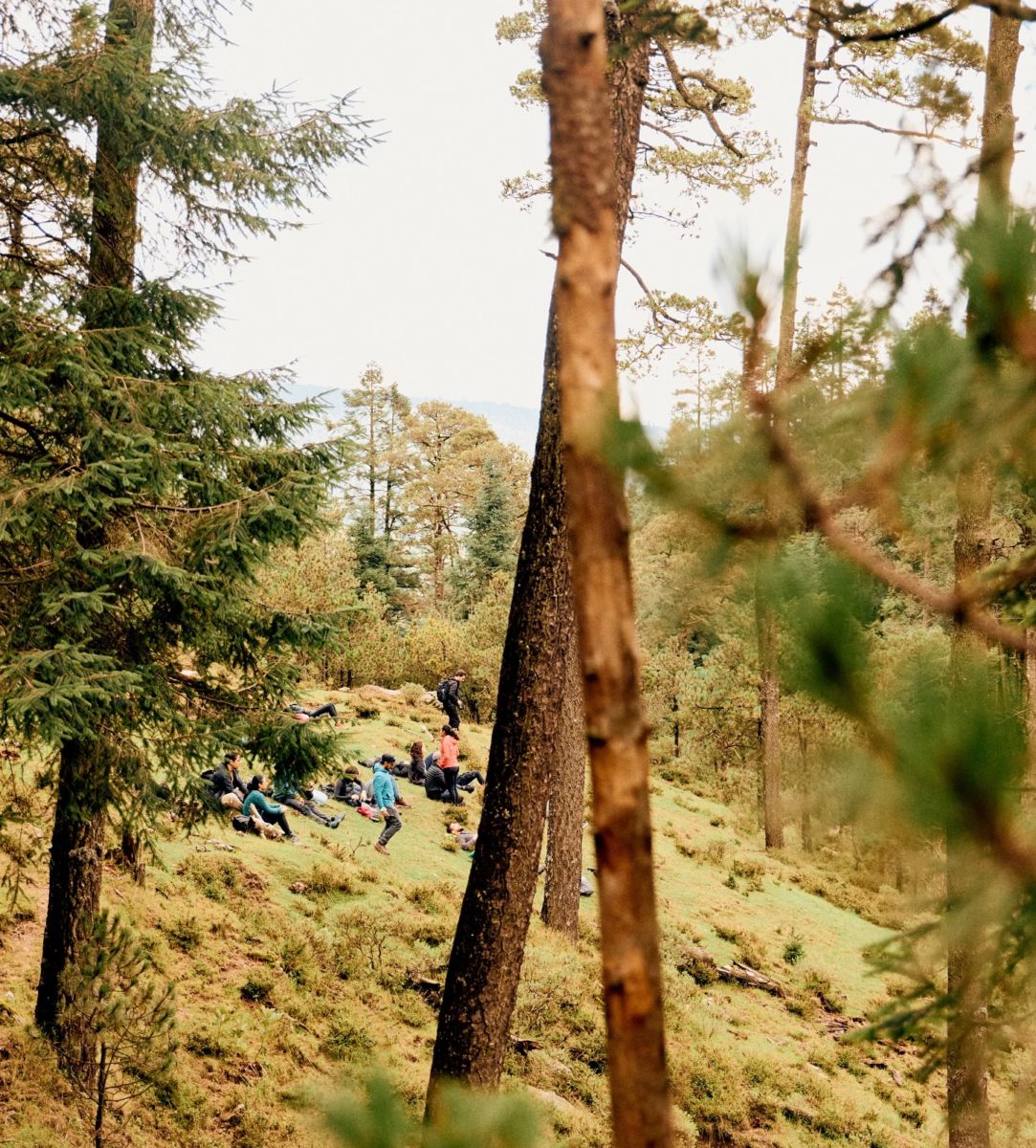 Excursión por el Bosque Otomí
