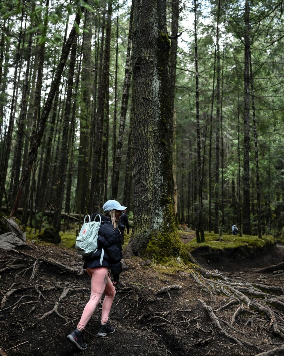 Las lluvias de estos días dejaron precioso el Bosque Otomí, a dos horas de la CDMX, y hay todo un tour para conocerlo