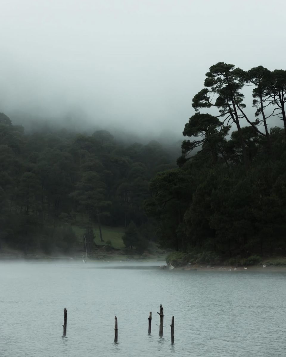 Bosque Otomí