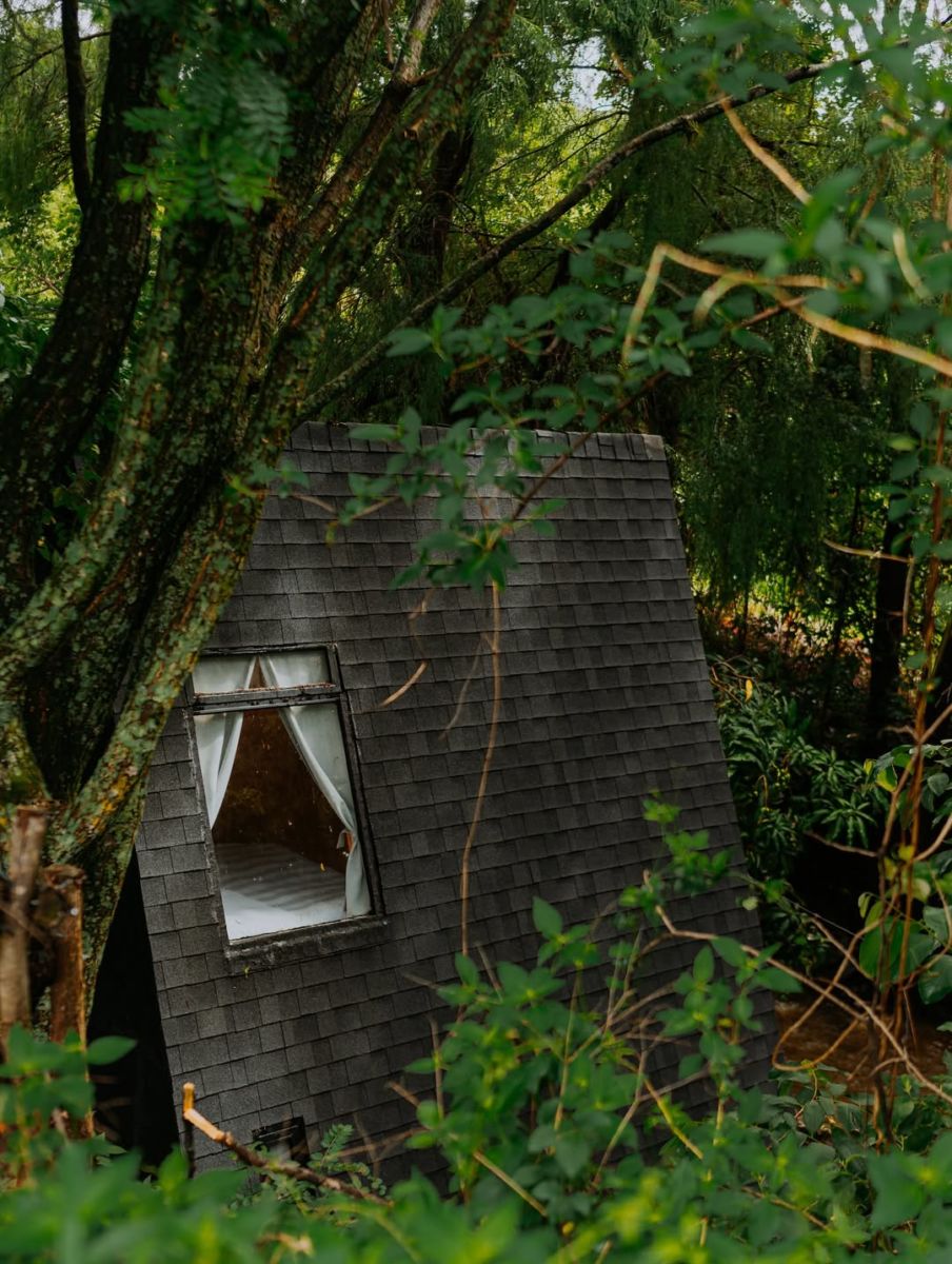 Cabañas en medio de la naturaleza 