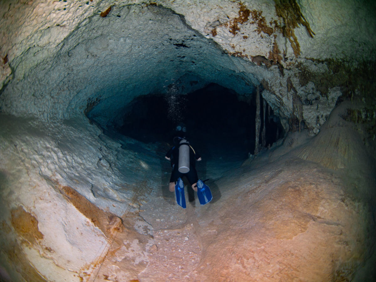 ¿Amante de las aventuras extremas? Bucea en una cueva submarina al norte de Tulum 