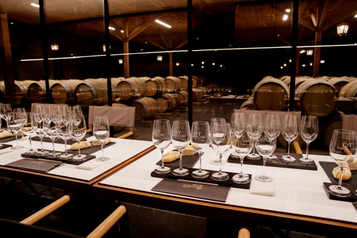 Centro del Vino Concha y Toro en Chile