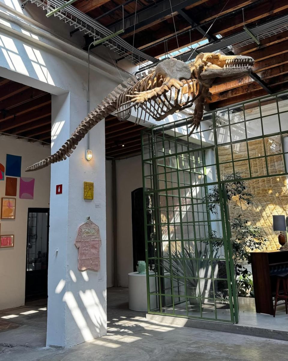 laguna colonia doctores