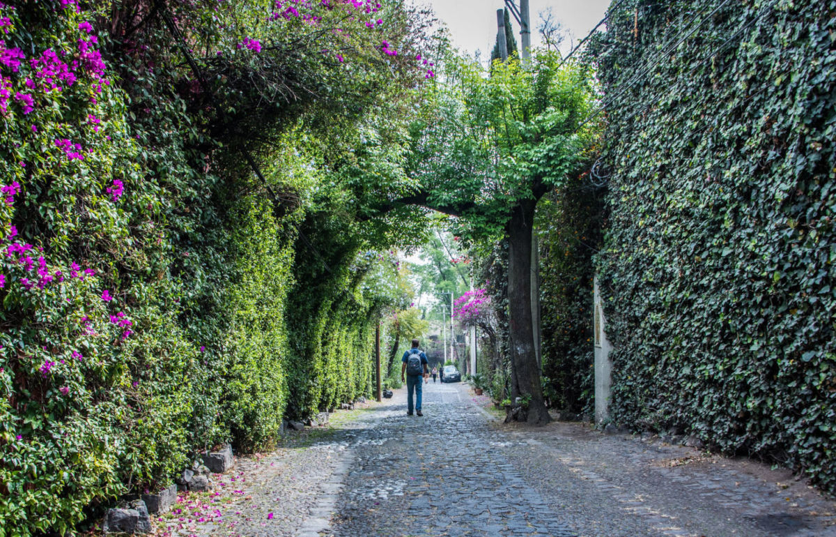 Colonias en la CDMX para caminar sin las aglomeraciones del Centro Histórico (también tienen museos, restaurantes y mucha historia)