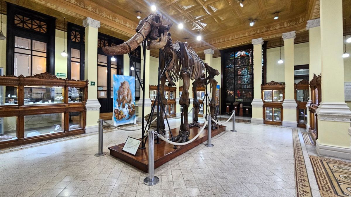 Museo de Geología de la UNAM en Santa María la Ribera 
