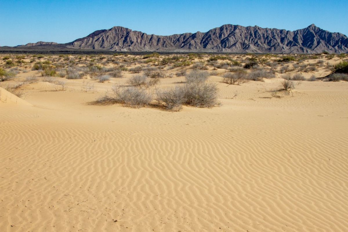 Gran Desierto de Altar