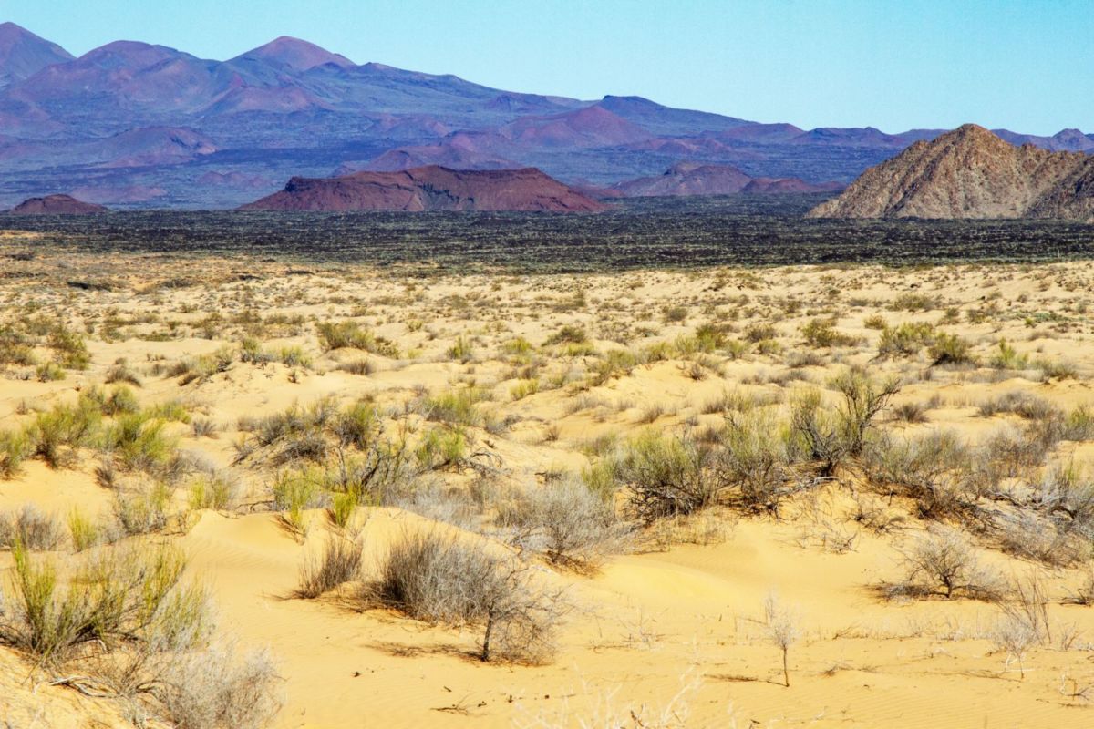 desierto en Sonora
