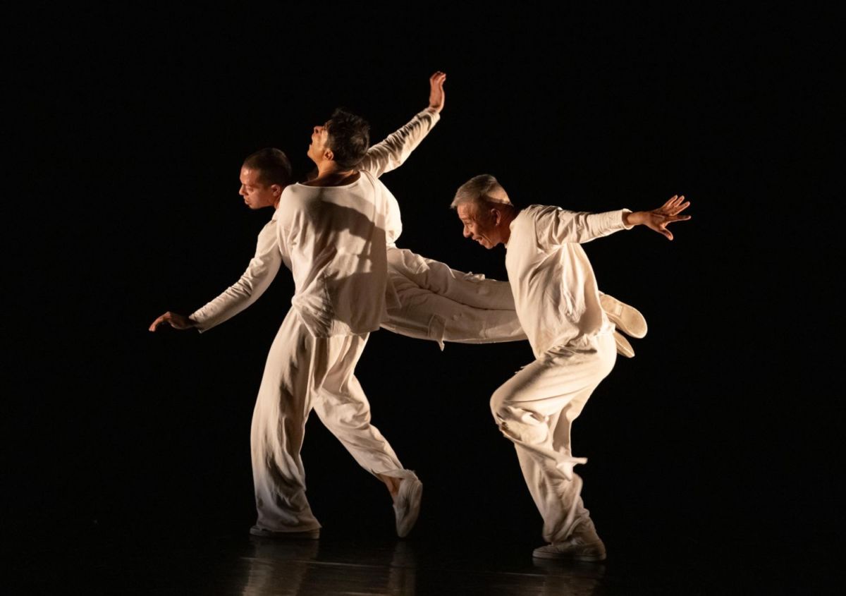 Circo ContemporáNEO danza multidisciplinaria de Guanajuato