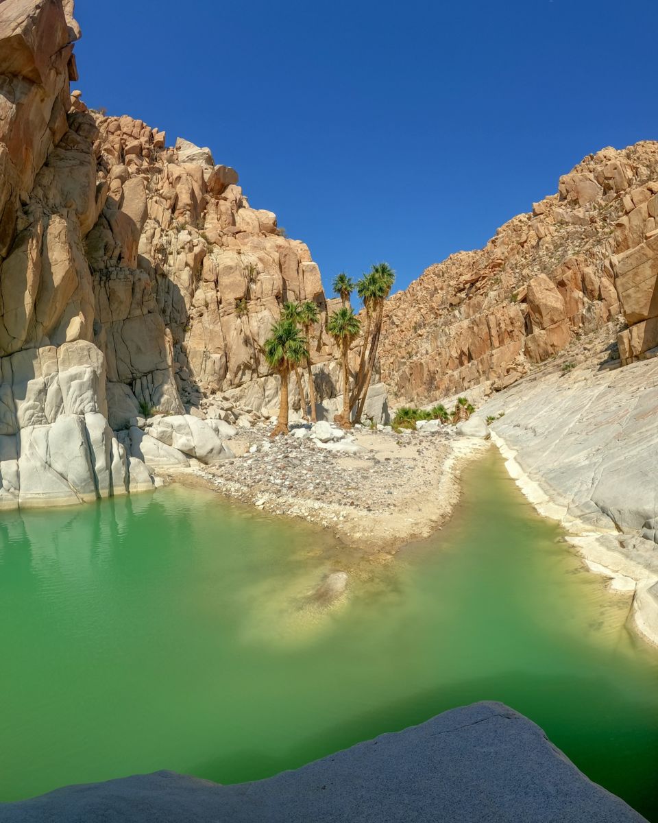 No es una alucinación, en medio de este desierto en Baja California hay un oasis con aguas turquesas para nadar 