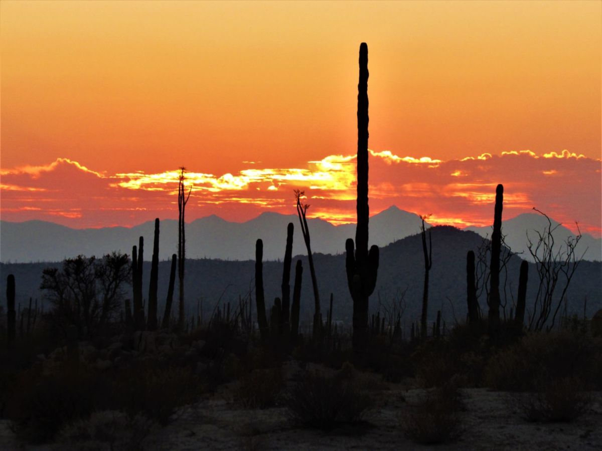 Puesta de sol en el Desierto de Cataviña