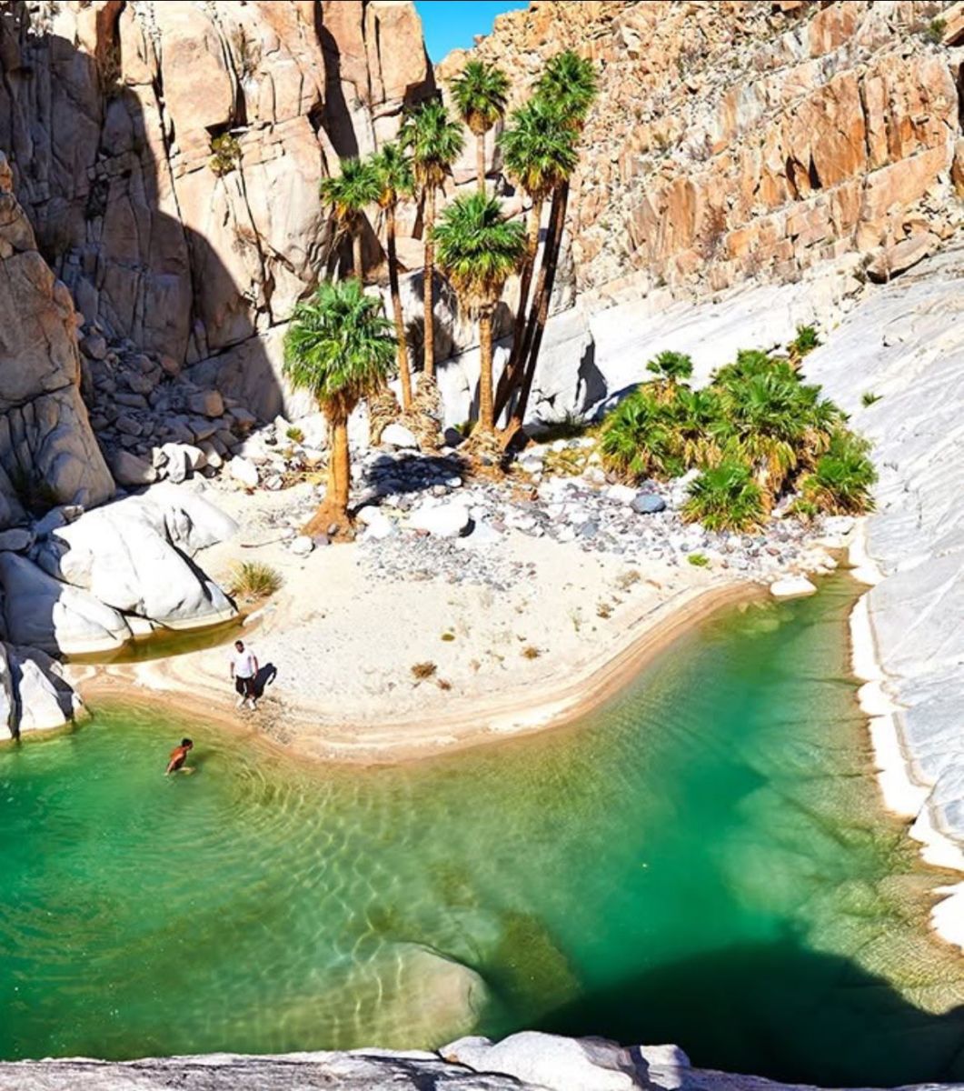 Oasis Santa María en el Desierto de Cataviña, BC