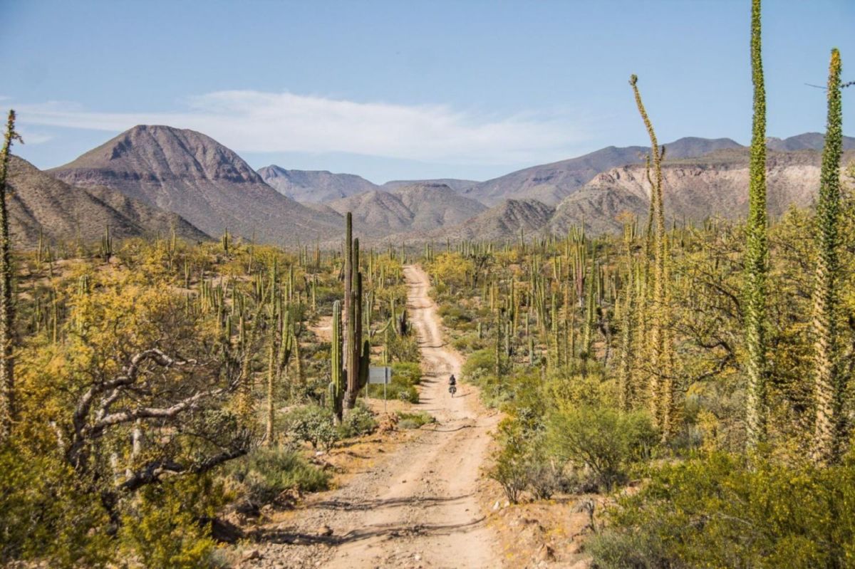 Desierto de Cataviña en Baja California 