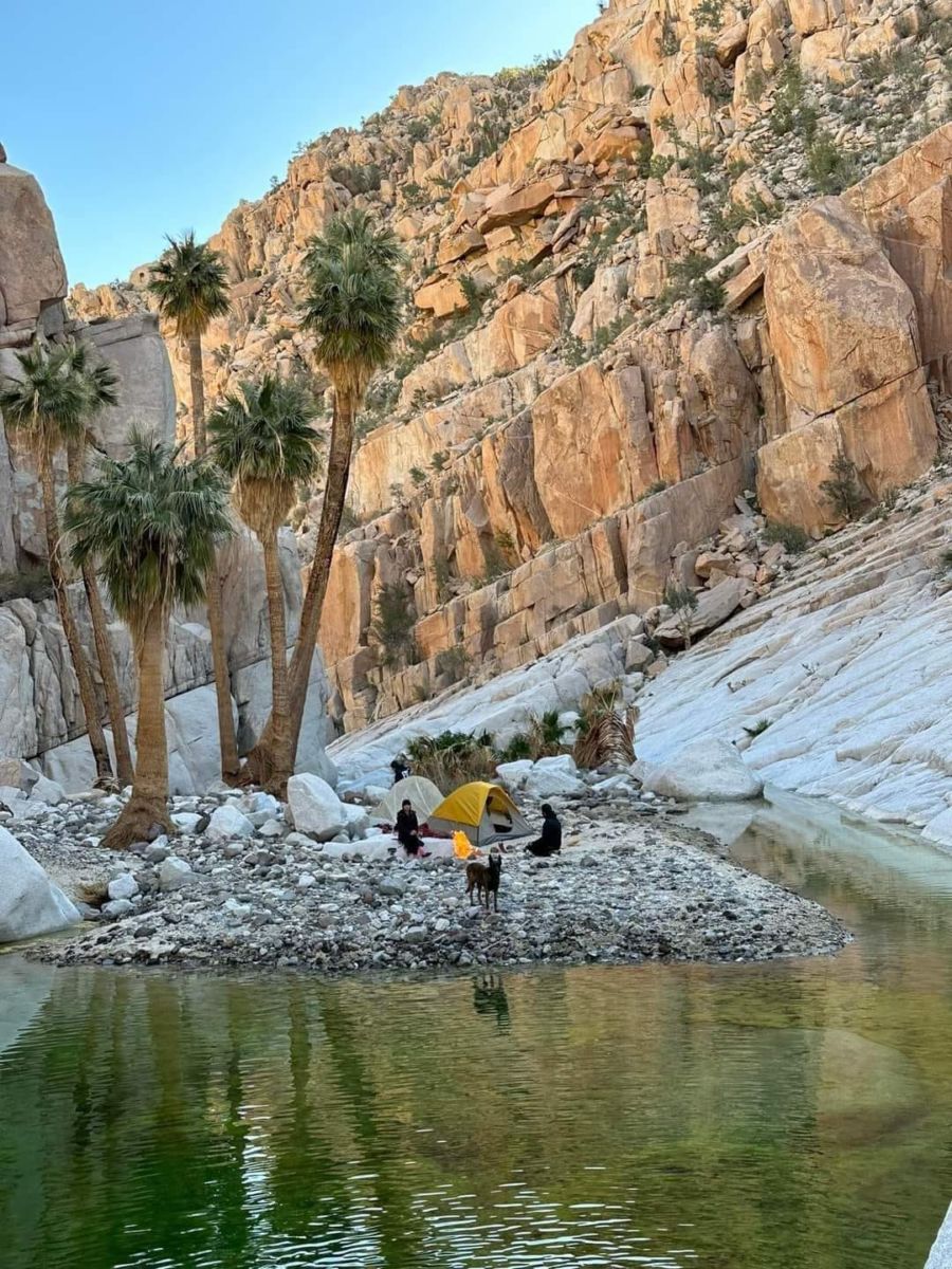Oasis Santa María en el Desierto de Cataviña