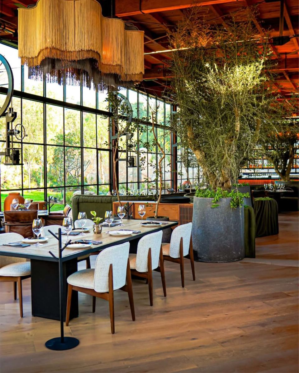 San Miguel de Allende se está volviendo un gran destino gastronómico y estos 6 restaurantes lo confirman