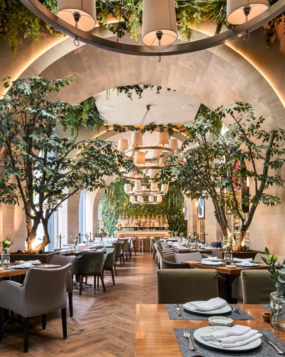 Dónde comer enxada César en la CDMX 