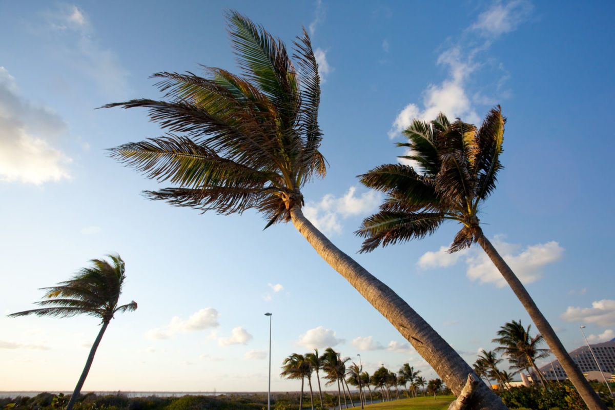 Temporada de huracanes en México 