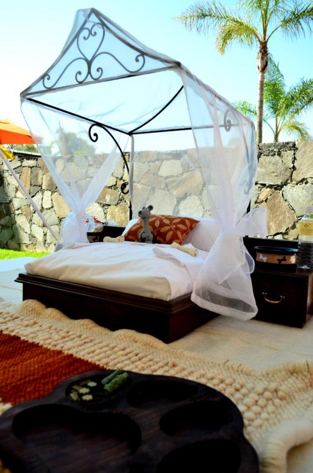 Rosewood San Miguel de Allende también ofrece servicio de niñera y habitaciones para perros 