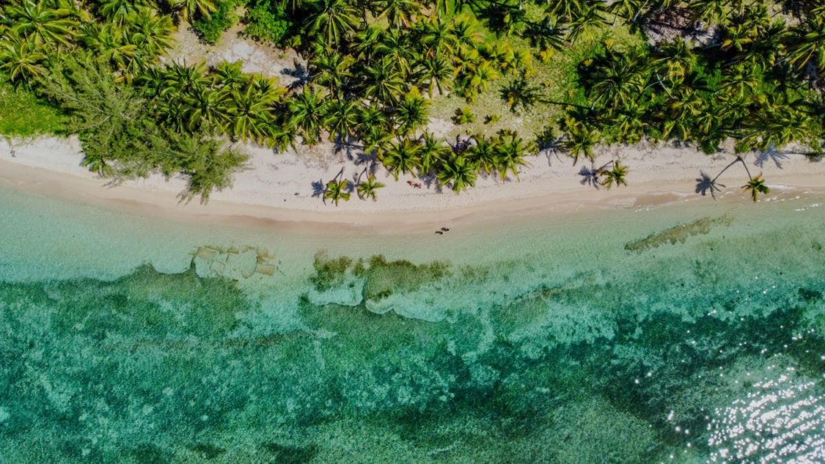 Quien haya dicho que Veracruz no tiene playas bonitas es porque nunca conoció esta alberca natural muy cerca de Tuxpan  