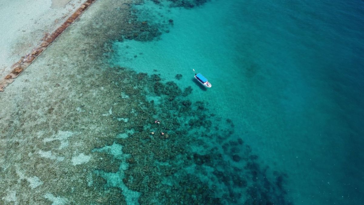 La Isla de Lobos se ubica a una hora de Tamiahua
