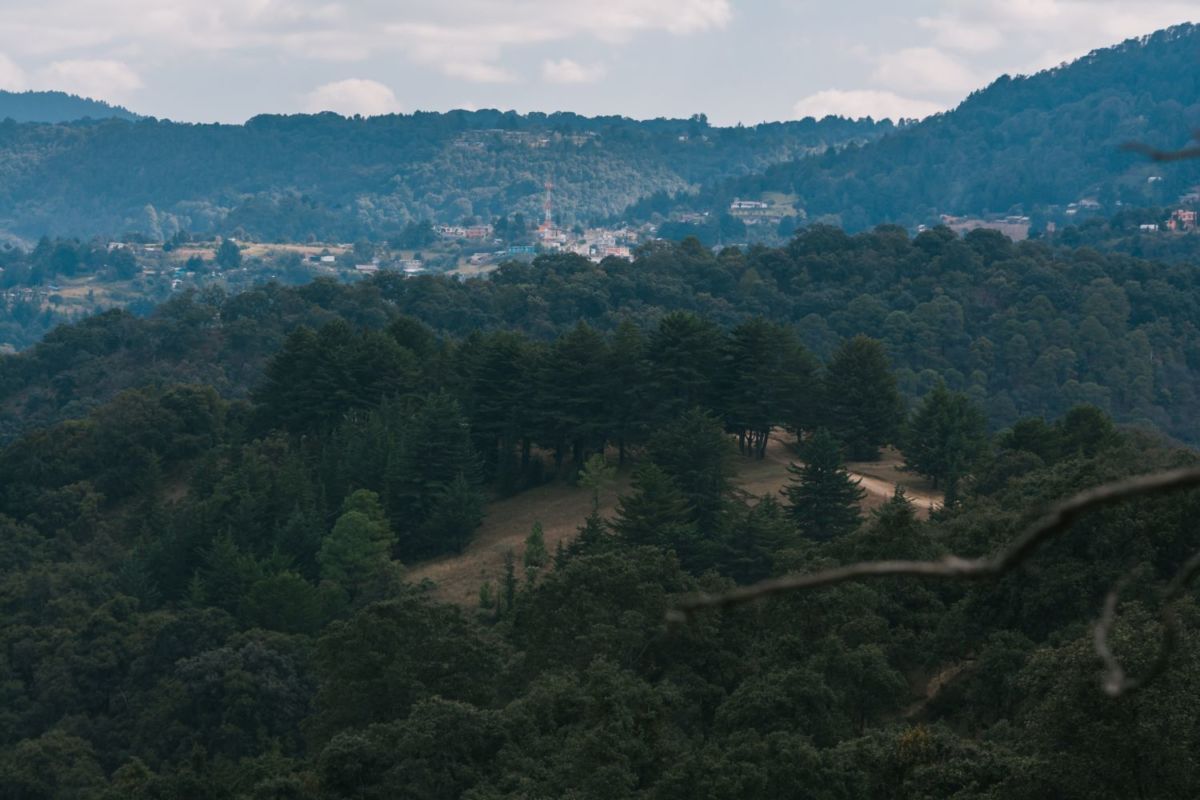 Bosques en Tlalpujahua